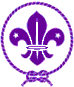 Siempre Scout